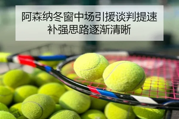 阿森纳冬窗中场引援谈判提速 补强思路逐渐清晰