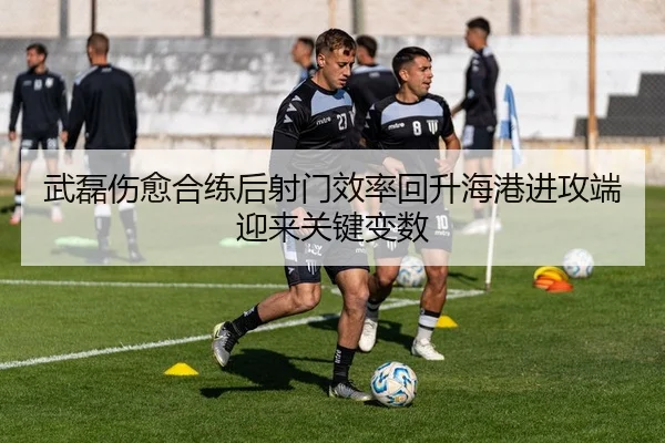 武磊伤愈合练后射门效率回升海港进攻端迎来关键变数