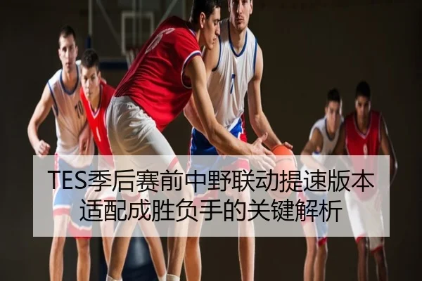 TES季后赛前中野联动提速版本适配成胜负手的关键解析
